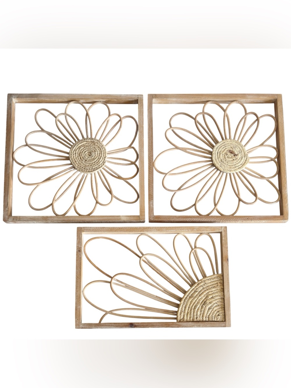 Set of 3 Hobby Lobby Boho Rattan Wicker Daisy Wall Art Frames